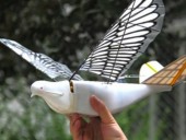 В Китае появились дроны в виде птиц